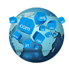 Domain Registration