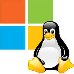 Window/Linux Hosting